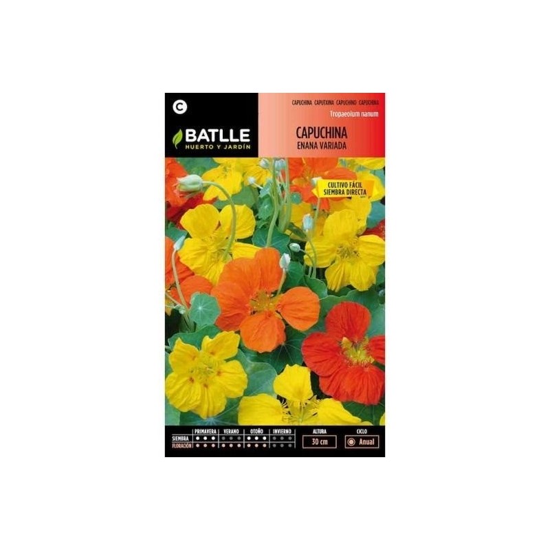 capuchina enana variada - semillas Batlle