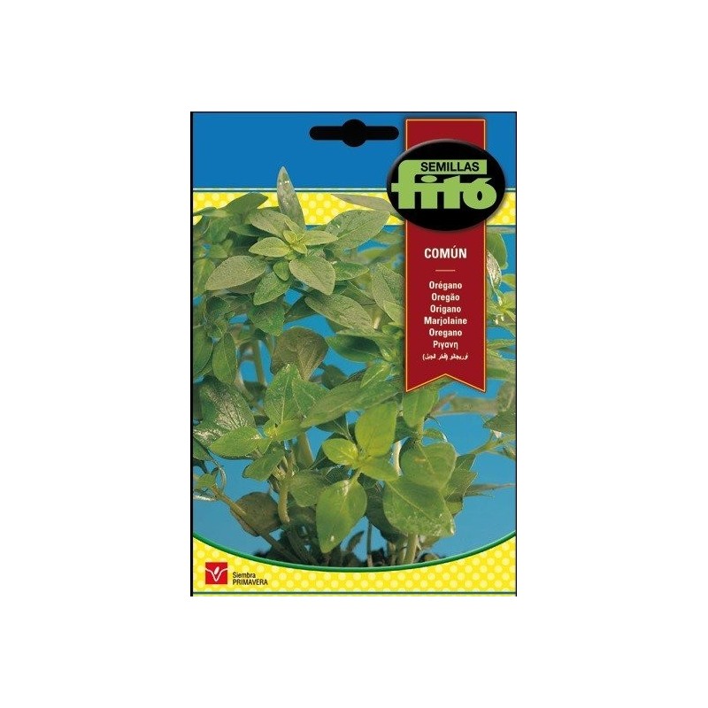 oregano comun (origanum officinalis)