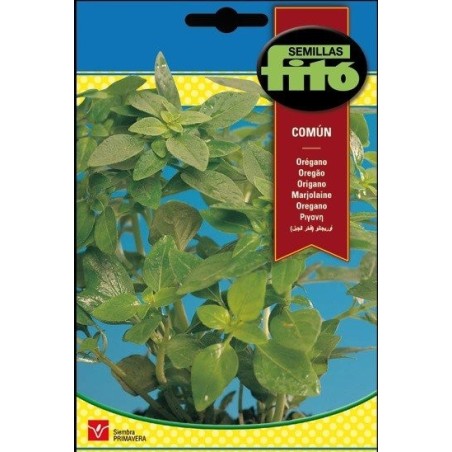 oregano comun (origanum officinalis)