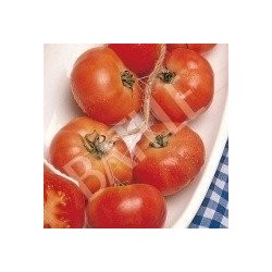 tomate de colgar mallorquin