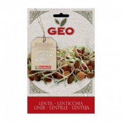 lentejas para germinar geo