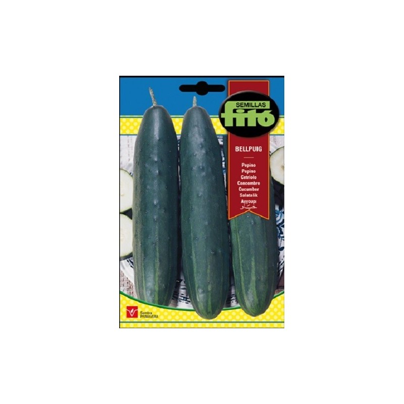 pepino bellpuig