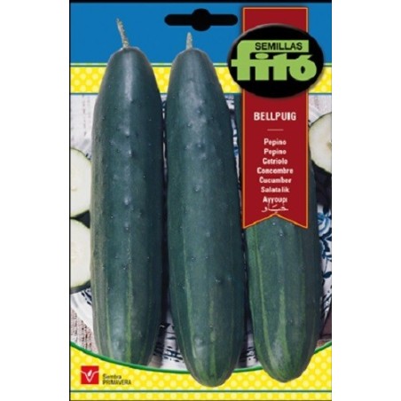 pepino bellpuig