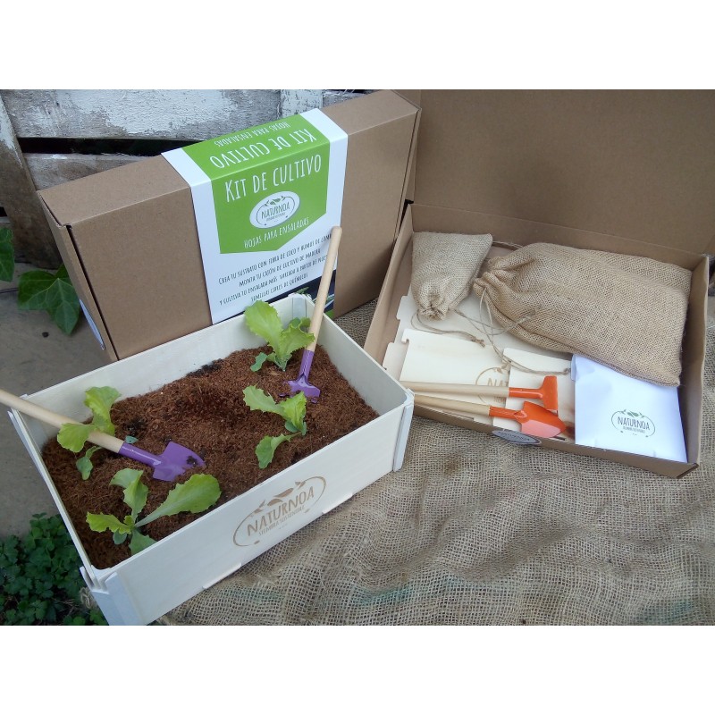 Kit de cultivo de hojas para ensalada