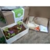 Kit de cultivo de hojas para ensalada