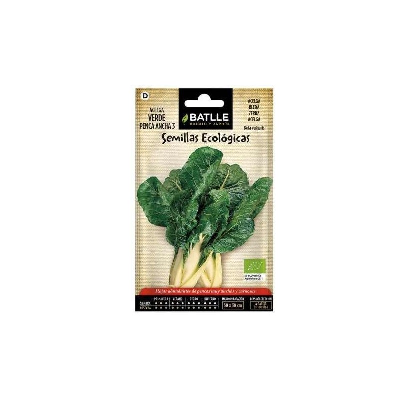 acelga de penca ancha 3 (semillas ecolÃ³gicas)