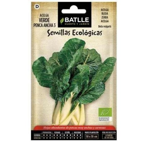 acelga de penca ancha 3 (semillas ecolÃ³gicas)