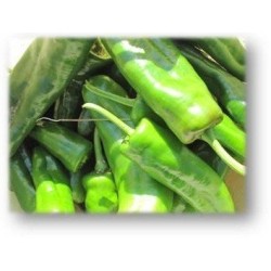 pimiento dulce italiano