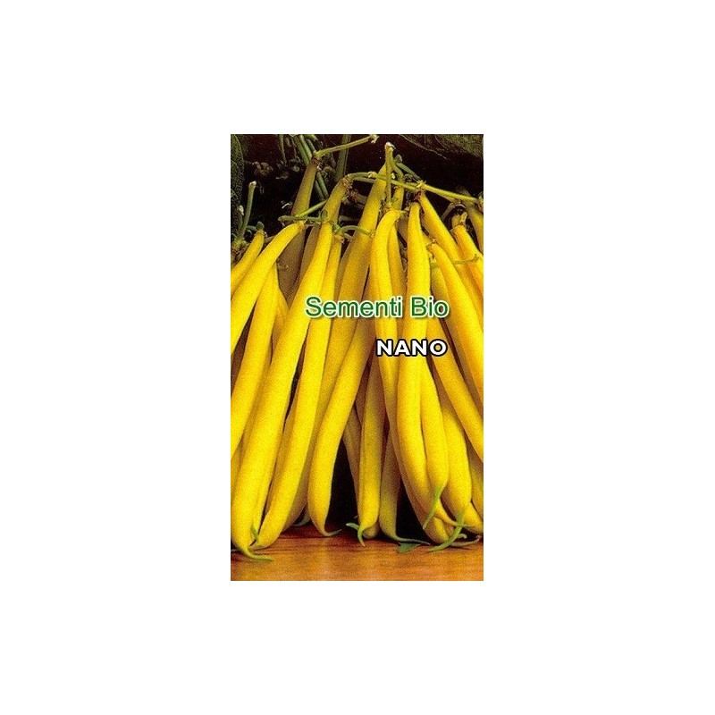 judÃ­a redonda amarilla berggold- semillas ecologicas