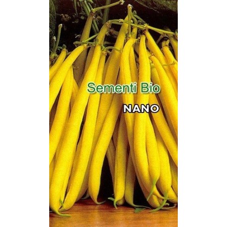 judÃ­a redonda amarilla berggold- semillas ecologicas