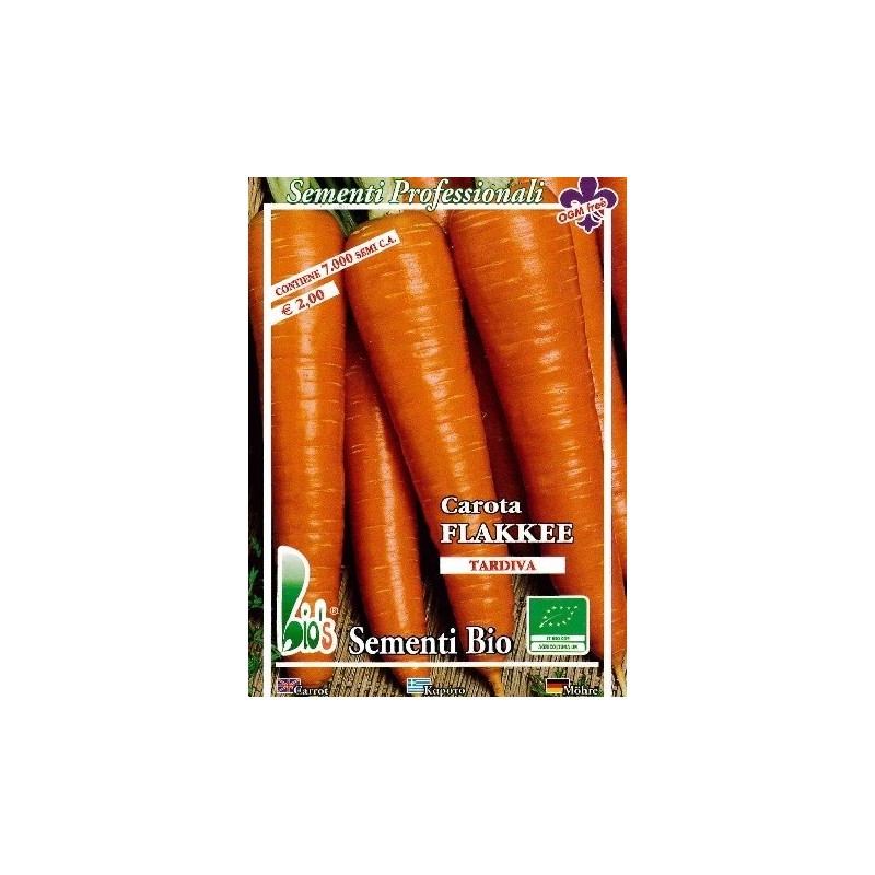 zanahoria Flakkee medio tardia - semillas ecolÃ³gicas