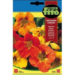 capuchina trepadora variada