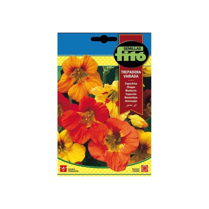 capuchina trepadora variada