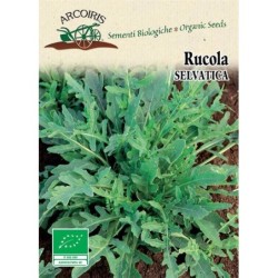 rucula selvÃ¡tica - semillas ecologicas Arcoiris