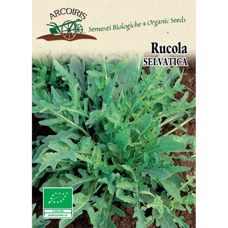 rucula selvÃ¡tica - semillas ecologicas Arcoiris