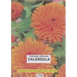 calÃ©ndula - semillas ecologicas bioseme