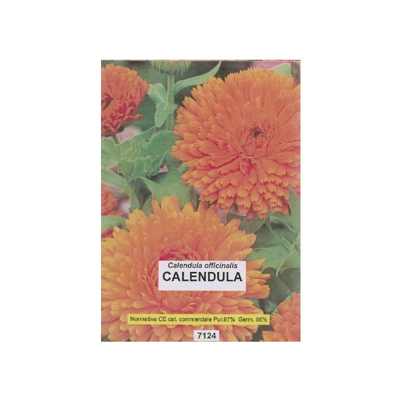 calÃ©ndula - semillas ecologicas bioseme