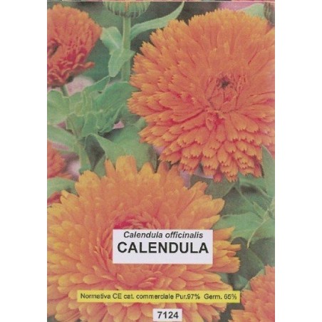 calÃ©ndula - semillas ecologicas bioseme
