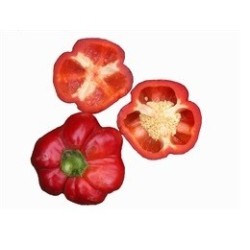 pimiento Liebesapfel (semillas ecolÃ³gicas)