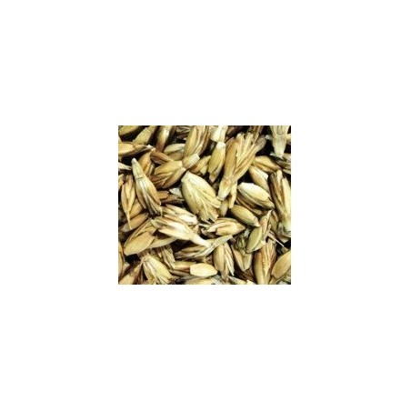 espelta para germinados (semillas ecolÃ³gicas)