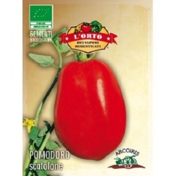 tomate scatolone (semillas ecolÃ³gicas)
