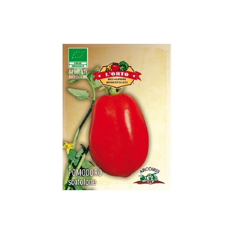 tomate scatolone (semillas ecolÃ³gicas)