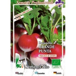 rabanito de punta blanca (semillas ecolÃ³gicas)