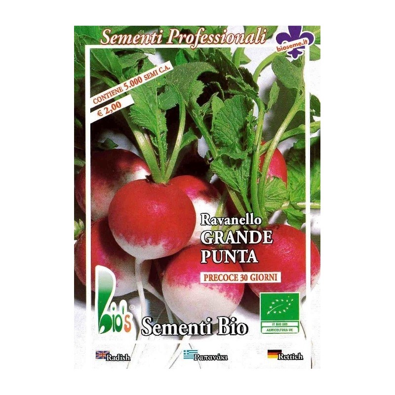 rabanito de punta blanca (semillas ecolÃ³gicas)