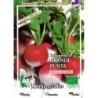 rabanito de punta blanca (semillas ecolÃ³gicas)