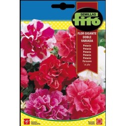petunia flor gigante doble