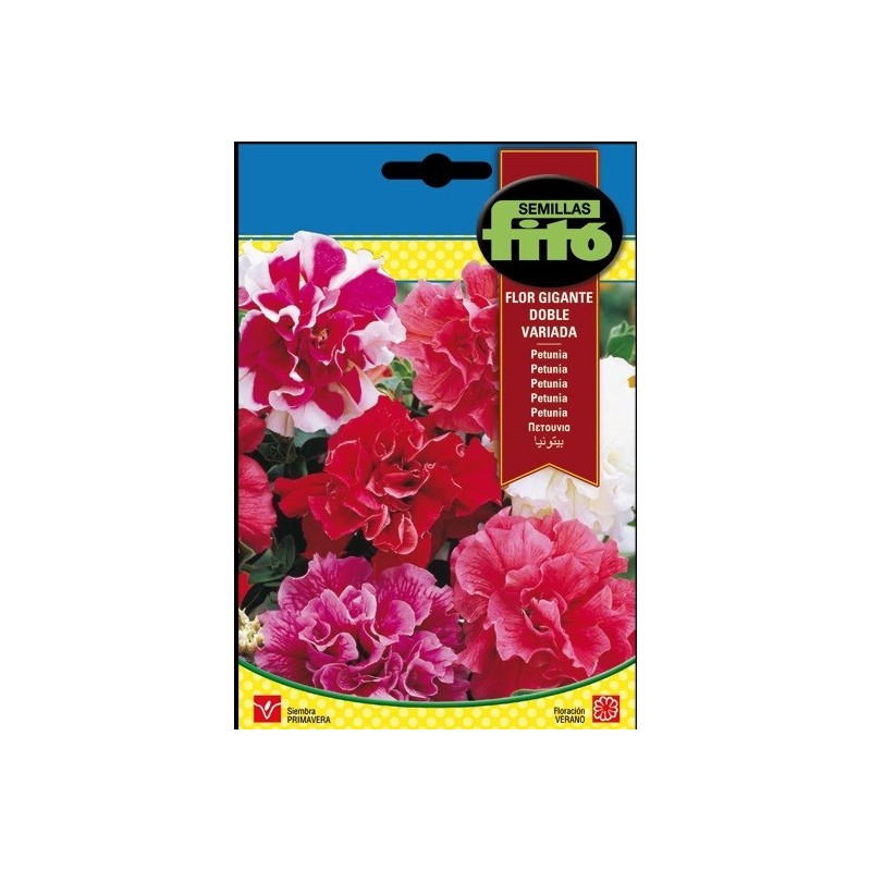 petunia flor gigante doble