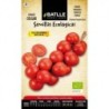 tomate de colgar sel Domingo - semillas ecolÃ³gicas