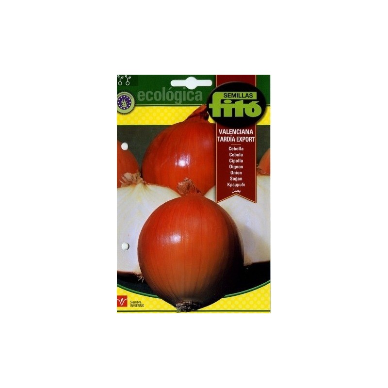 cebolla valenciana tardÃ­a - semillas ecolÃ³gicas