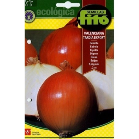 cebolla valenciana tardÃ­a - semillas ecolÃ³gicas