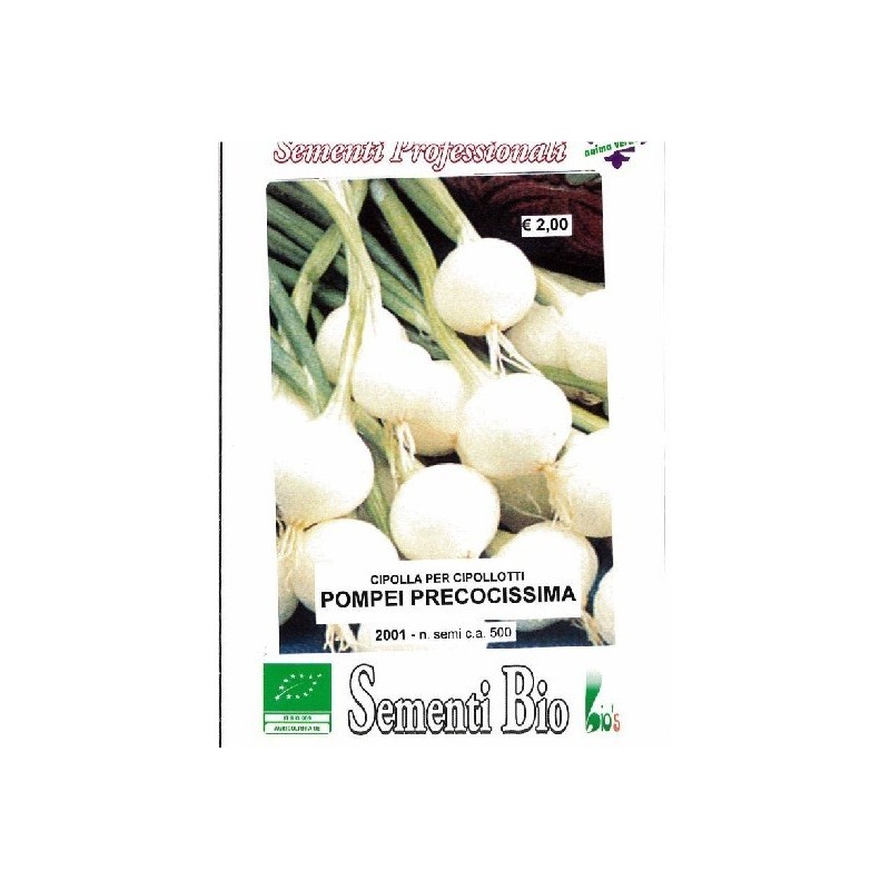 cebolla blanca pompei (semillas ecolÃ³gicas)