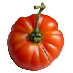 tomate Ararat flame (semillas ecolÃ³gicas)