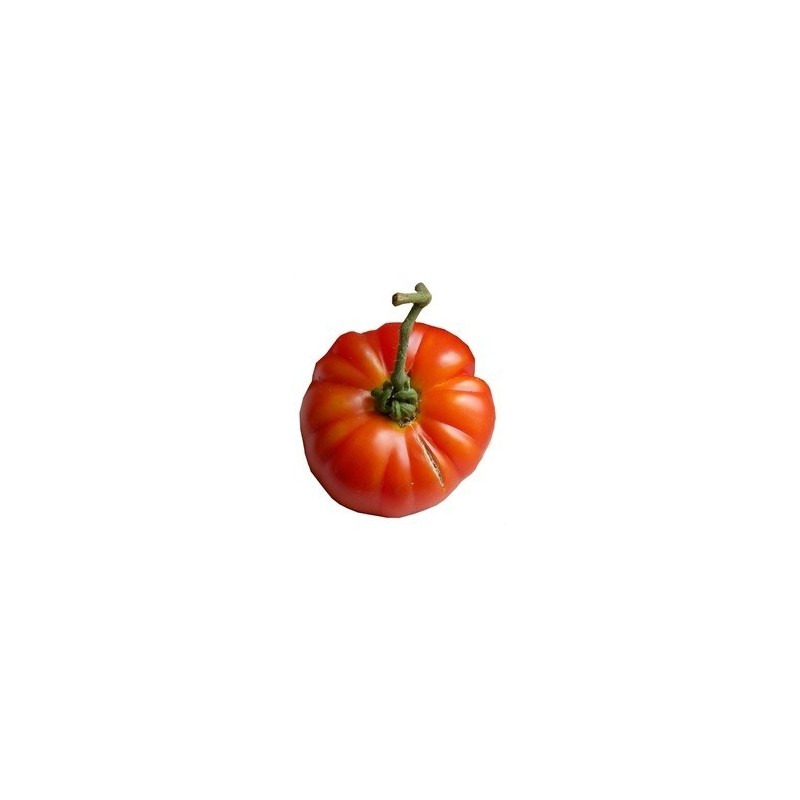 tomate Ararat flame (semillas ecolÃ³gicas)
