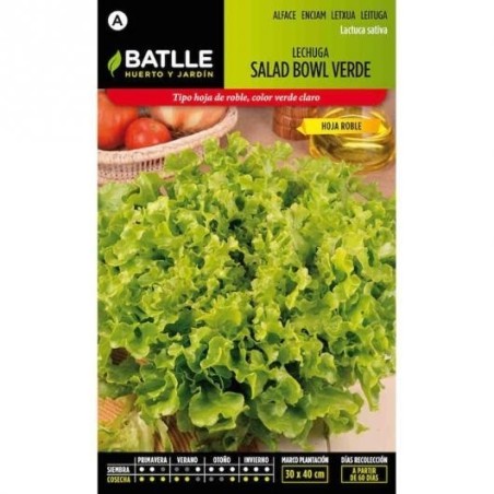 lechuga salad bolw verde