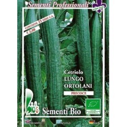 pepino largo ortolami (semillas ecolÃ³gicas)