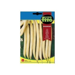 JudÃ­a rocquencourt FitÃ³