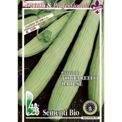 pepino tortarello de Bari - semillas ecolÃ³gicas