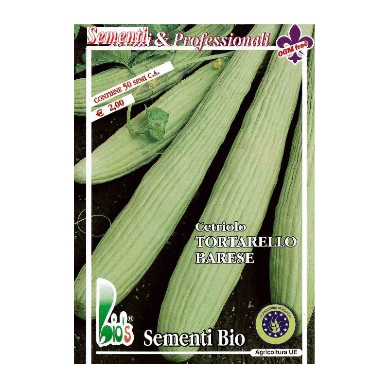 pepino tortarello de Bari - semillas ecolÃ³gicas