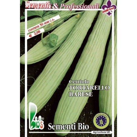 pepino tortarello de Bari - semillas ecolÃ³gicas
