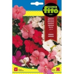 alegria de la casa - impatiens