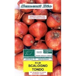 chalota escalonia redonda - ecolÃ³gico