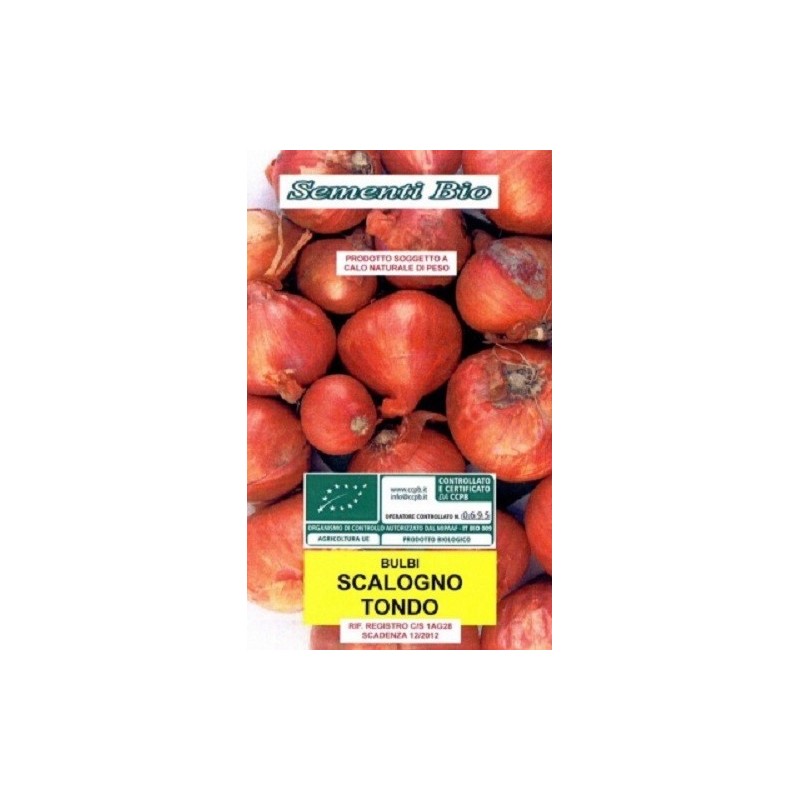 chalota escalonia redonda - ecolÃ³gico