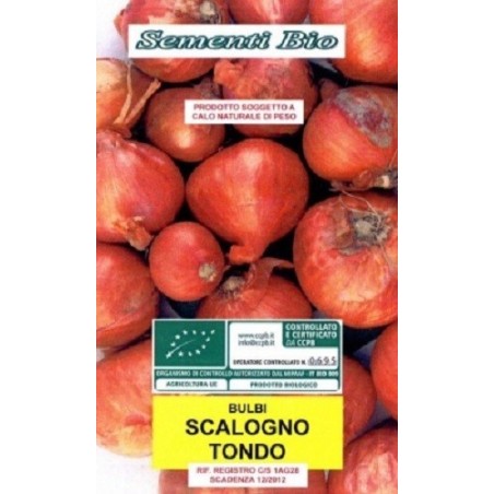 chalota escalonia redonda - ecolÃ³gico