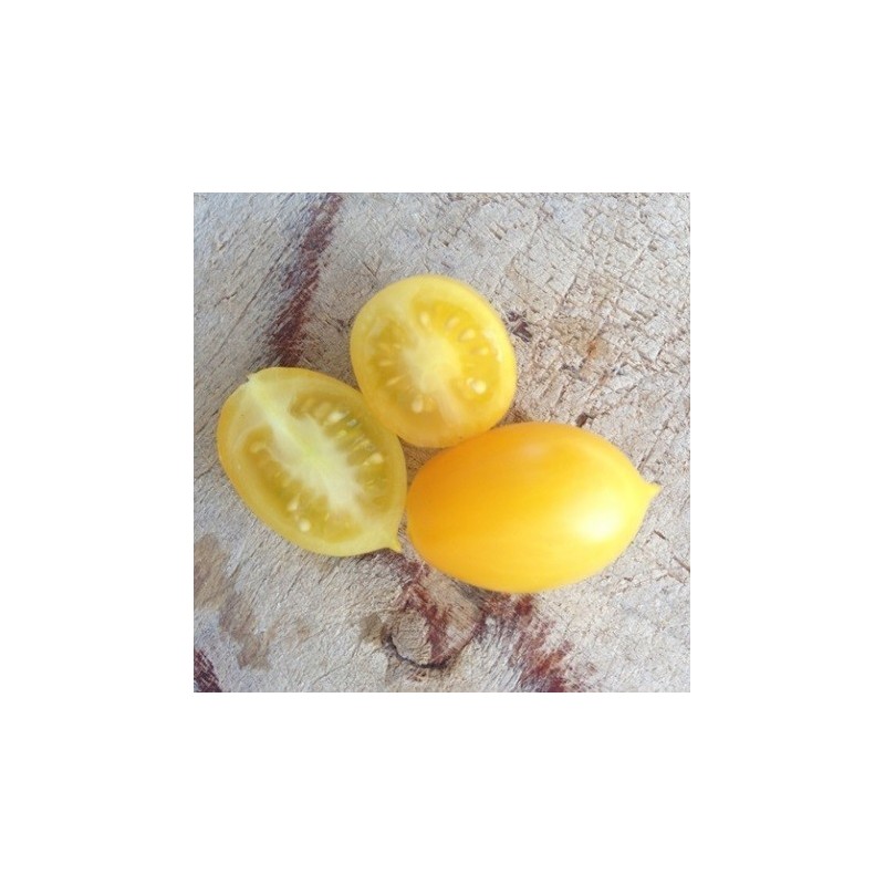 tomate teardrop (semillas ecolÃ³gicas)