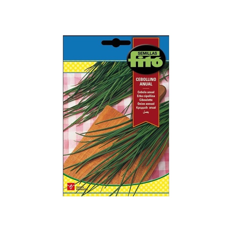 cebollino (Allium schoenoprasum)