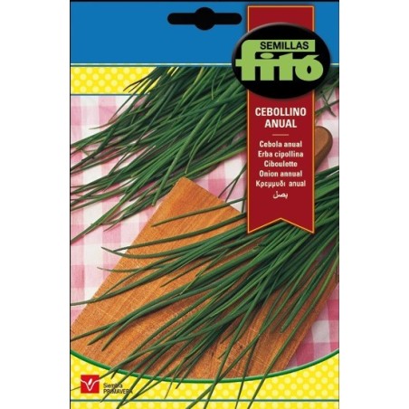 cebollino (Allium schoenoprasum)